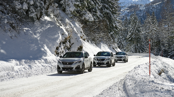 Peugeot 3008 VAL D ISERE groningen