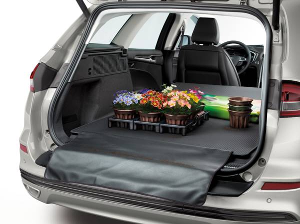FordMondeo Hybrid groningen 08