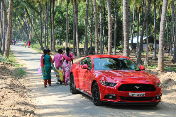 Mustang India 050auto.nl groningen