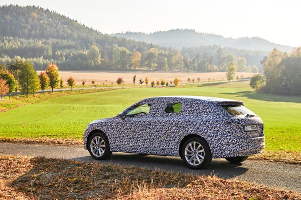 Skoda Scala covered groningen 03