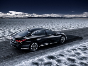 Lexus Luxury Limousine in Genève